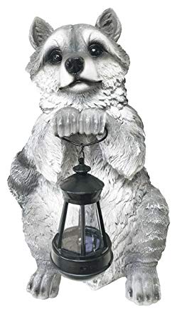Ebros Night Bandit North American Raccoon Statue Holding Solar Powered Lantern LED Light Patio Decor Indoor Outdoor Raccoon