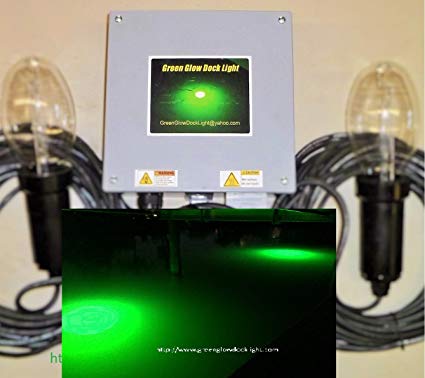 Bright Green Underwater Fishing Lights, Double Lamp Kit with 50' cords